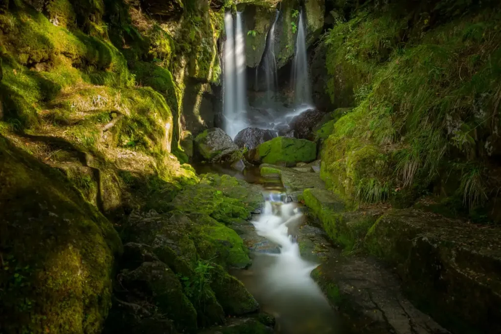 bilbao selva negra alsacia luxemburgo